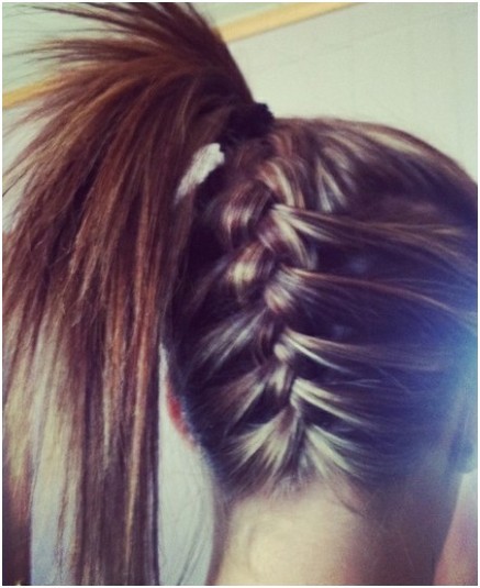 tumblr hairstyles braids