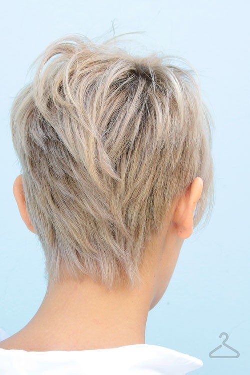 Layered Pixie Haircut Back View: Straight Short Hair / Via