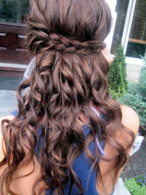 10 Half Up Braid Hairstyles Ideas Popular Haircuts