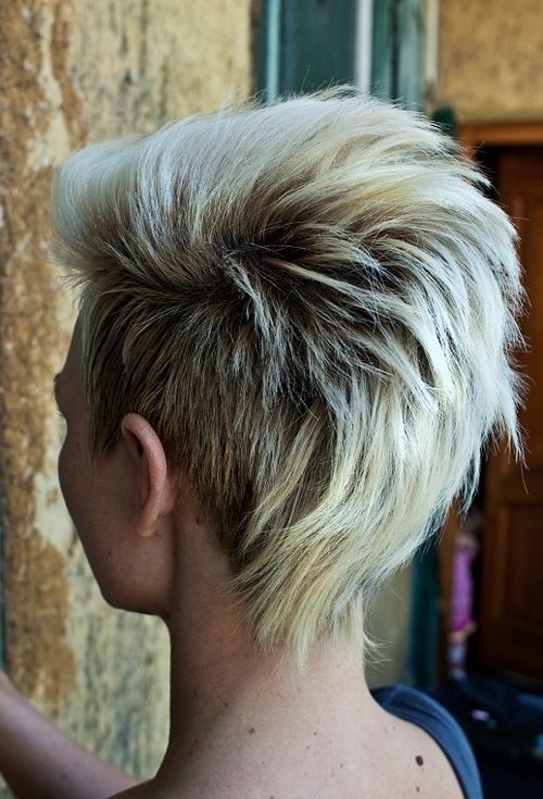 Punk Hairstyle for Short Hair Back View - PoPular Haircuts