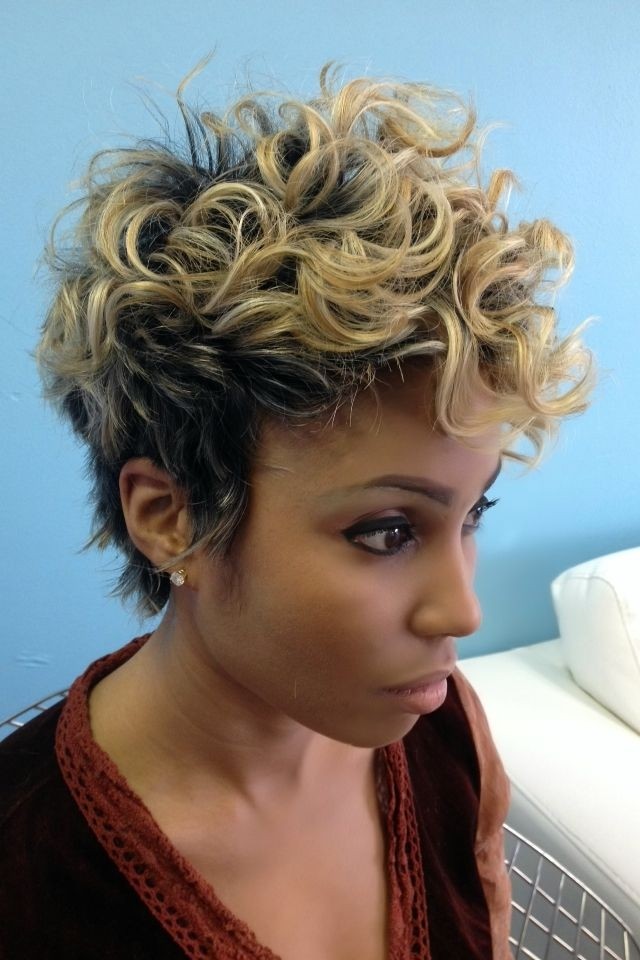 Curly Pixie Haircut  Black Women Short Hairstyles 2015