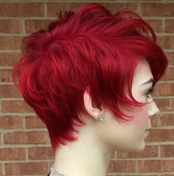 15 Latest Pictures Of Shag Haircuts For All Lengths Popular Haircuts
