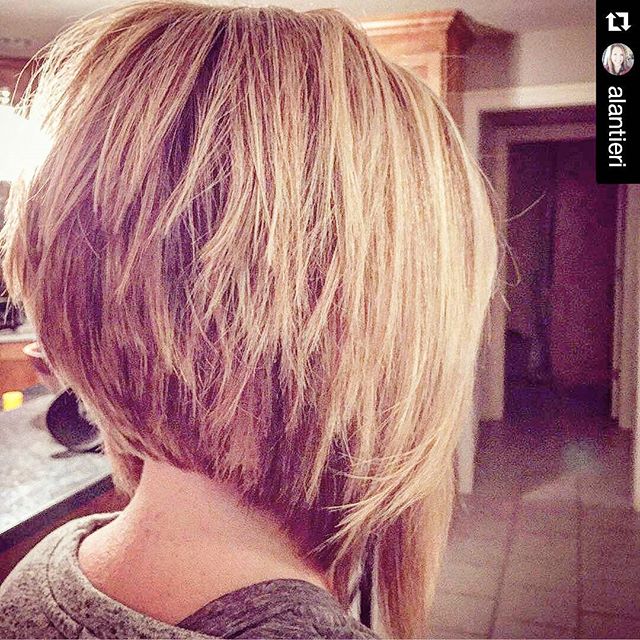 Inverted Layered Bob Short Hairstyle Pictures 10
