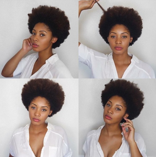 25 Gorgeous African American Natural Hairstyles - PoPular ...