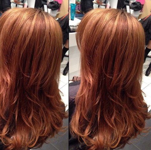 Chestnut Hair Style Brown Caramel Summer Hair Colors