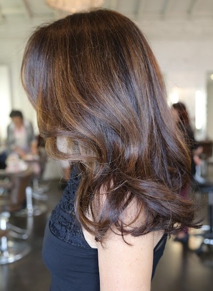 Brunette Hair Highlights