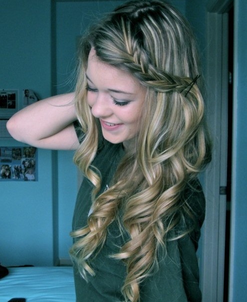 Braid Hairstyles Long Wavy Hair