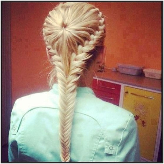 French Fishtail Braided Hairstyle for Summer to Fall