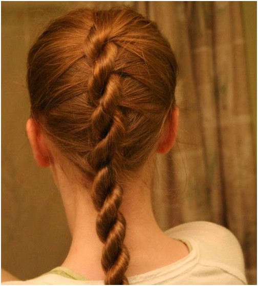 Special Single French Twist Braid Back View: School Hairstyles for Girls