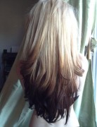 Blonde to Dark Brown Ombre, Long Hair