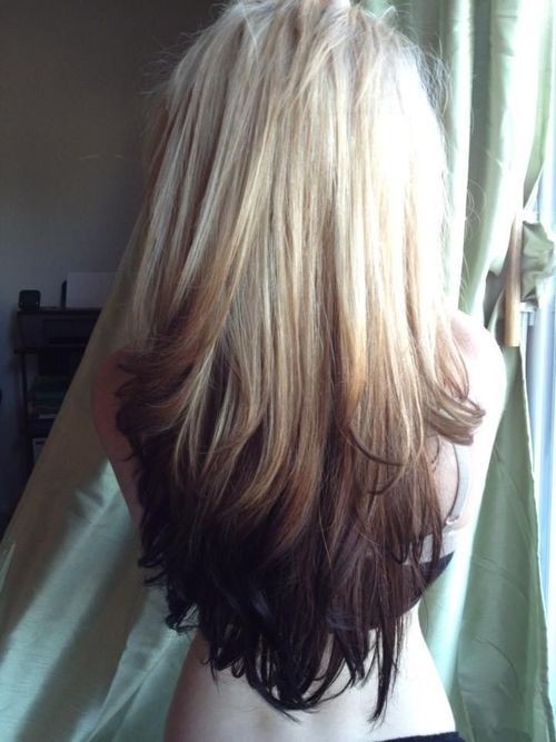 Blonde to Dark Brown Ombre, Long Hair