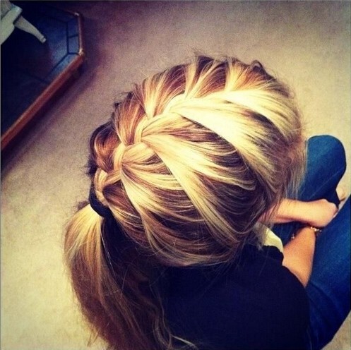 15 Adorable French Braid Ponytails for Long Hair - PoPular 